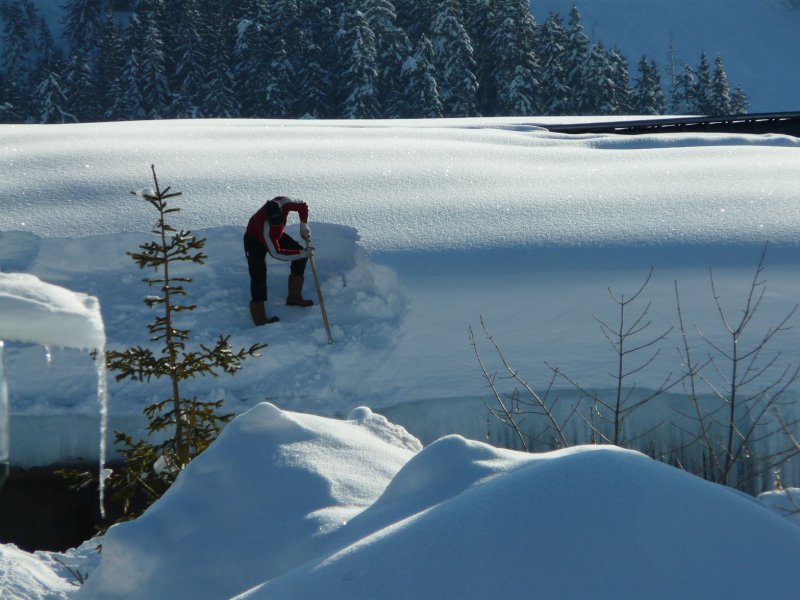 trop de neige sur les Etoiles d'or